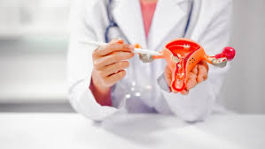 Kadın Hastalıkları ve Doğum Uzmanı Opr. Dr. Seher Sarı Kayalarlı,