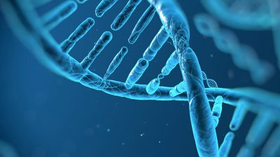 Tıbbi Genetik Uzmanı Dr. Vehap Topçu, akraba evliliklerinde genetik hastalık