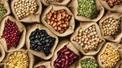 Muğla Büyükşehir Belediyesi’nin kurduğu Yerel Tohum Merkezi, 976 çeşit ata