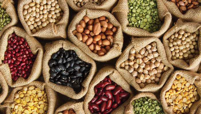 Muğla Büyükşehir Belediyesi’nin kurduğu Yerel Tohum Merkezi, 976 çeşit ata