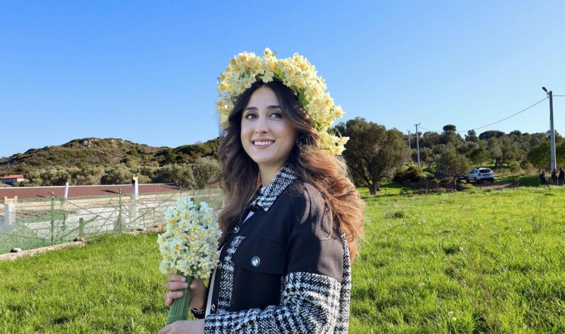 İzmir’in Karaburun Kaymakamı Hilal Kızılkaya, üreticileri ziyaret ederek nergis hasadına