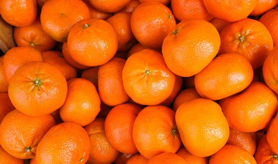 Türkiye, 2025 yılında narenciye ihracatından 1,4 milyar doların üzerinde gelir