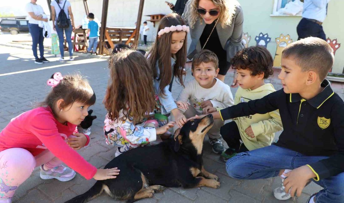 Muğla Büyükşehir Belediyesi’nin Türkiye’nin en donanımlı Hayvan Bakım Evleri arasında