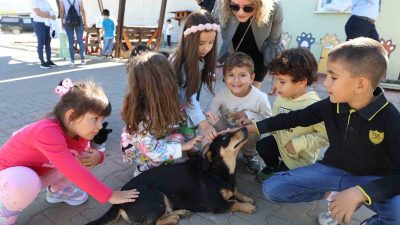 Muğla Büyükşehir Belediyesi’nin Türkiye’nin en donanımlı Hayvan Bakım Evleri arasında