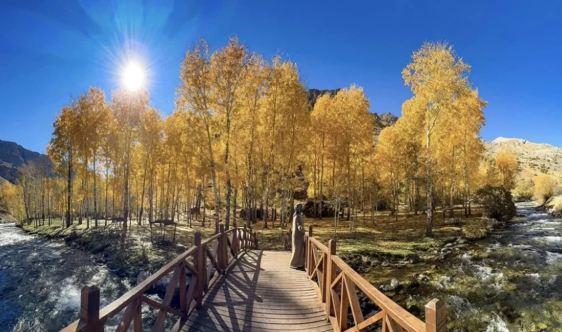 Meteoroloji Genel Müdürlüğü’nün son tahminlerine göre, Türkiye genelinde sıcaklıklar mevsim