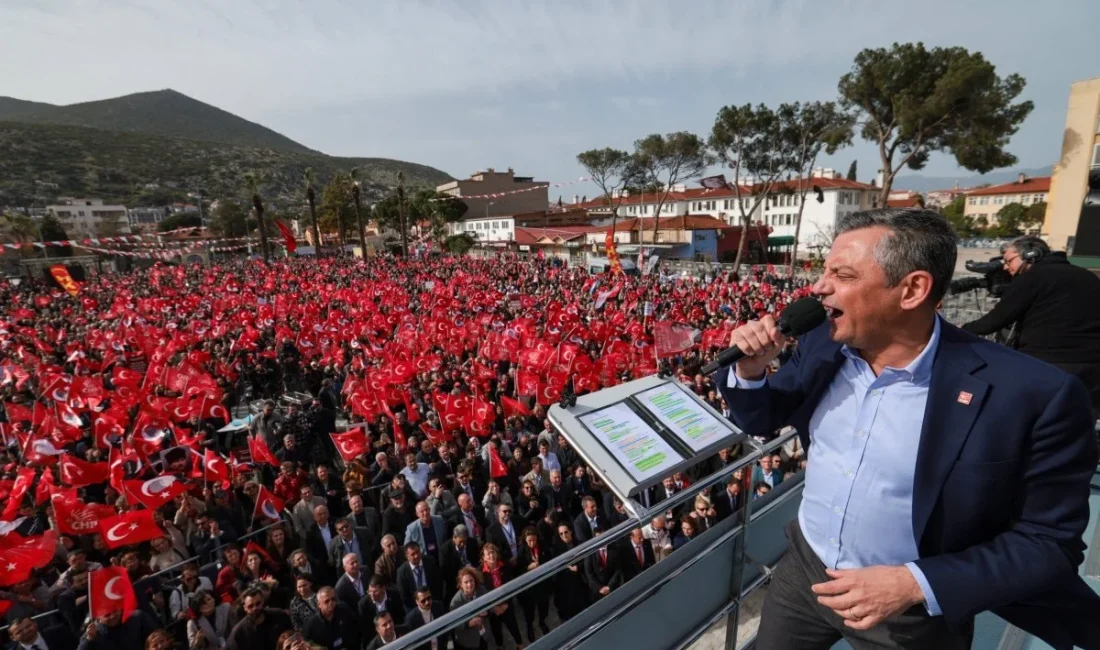 Özgür Özel’in mitingi öncesi Milas’ta kesilen asırlık zeytin ağaçları iddiası