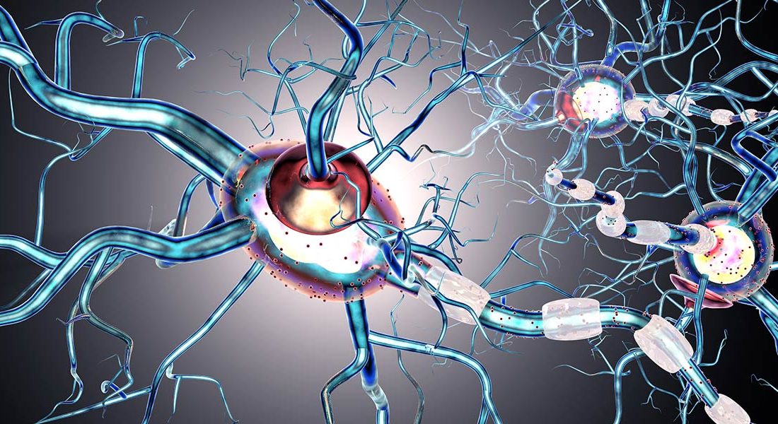Uluslararası Epilepsi Günü dolayısıyla açıklama yapan Nöroloji Uzmanı Dr. Ceyhun