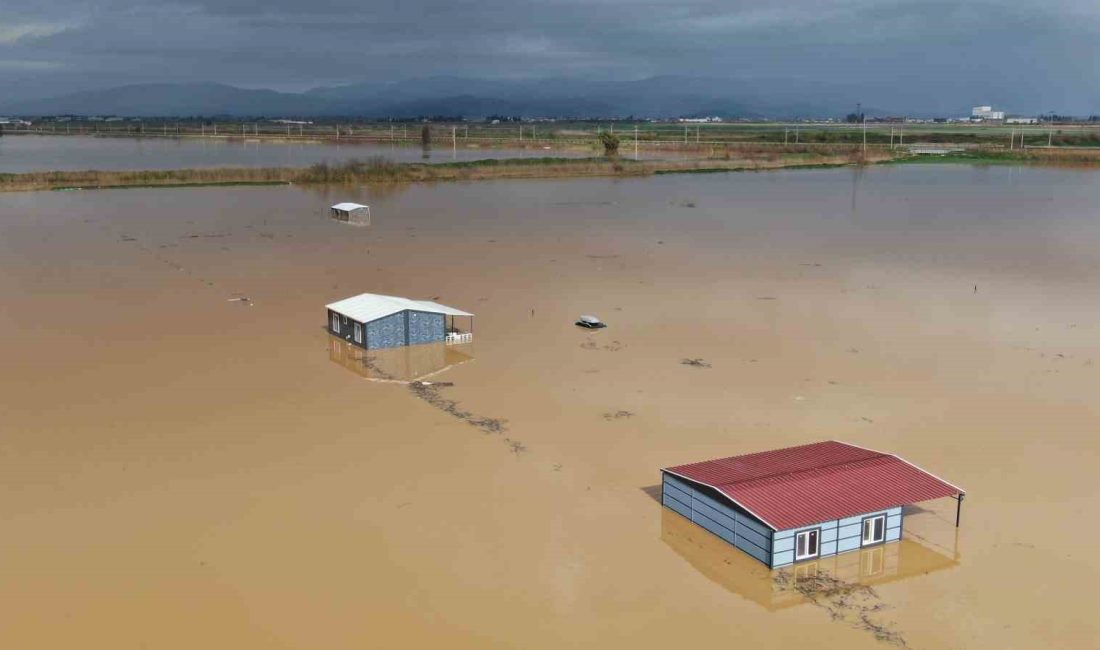 İzmir’in Torbalı ilçesinde etkili olan şiddetli sağanak yağış sonrası pamuk