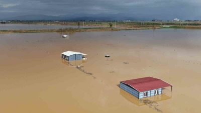 İzmir’in Torbalı ilçesinde etkili olan şiddetli sağanak yağış sonrası pamuk