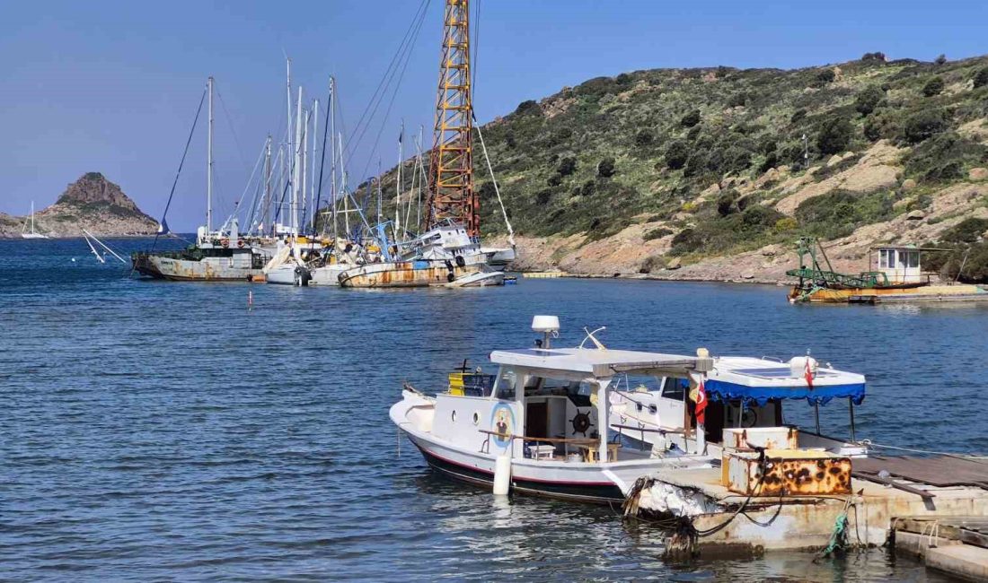 Muğla’nın Bodrum ilçesinde, kesin korunacak hassas alan statüsündeki Küdür Yarımadası’nda