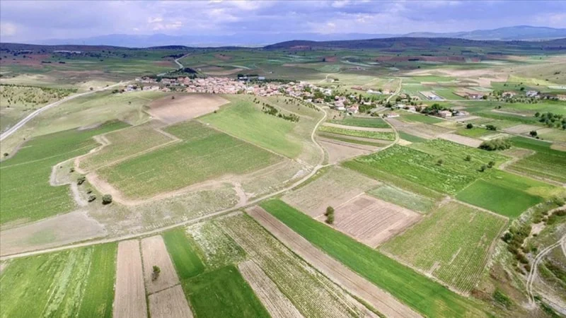 Tarım ve Orman Bakanlığı tarafından hazırlanan yeni yönetmelikle tarım arazilerinin